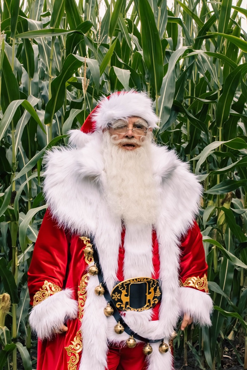 Santa Sven im roten Mantel